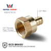 1/2" PEX x FNPT Adapter Eco Brass