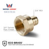 3/4" PEX x 3/4" FNPT Adapter Eco Brass