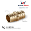 3/4" Brass PEX Coupling Eco Brass