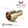 1/2" PEX x 1/2" Female Sweat Adapter Eco Brass