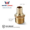 3/4" PEX x 3/4" MNPT Adapter Eco Brass